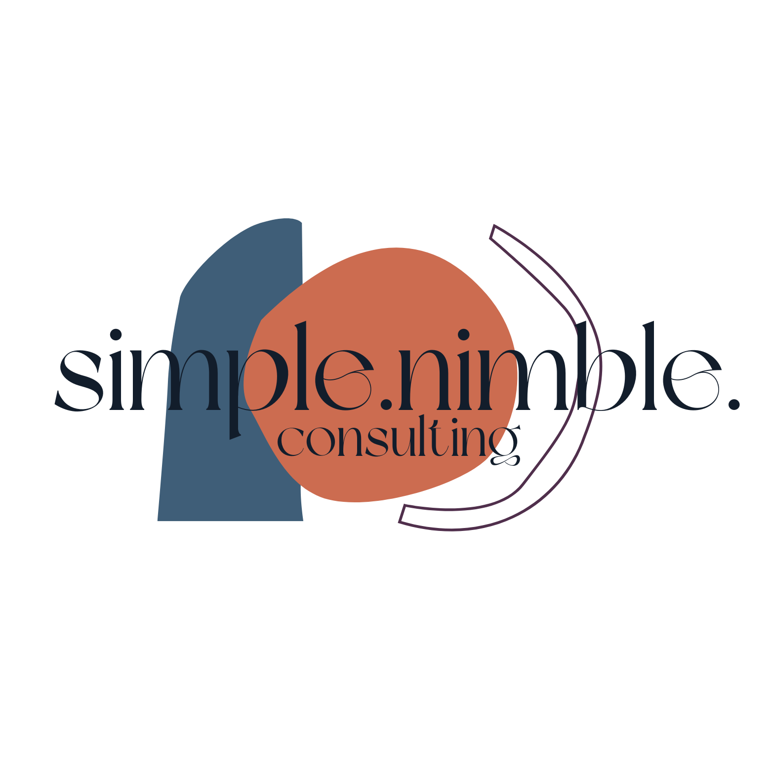 Simple Nimble Consulting
